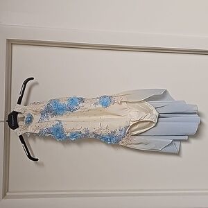 Beautiful dance costume